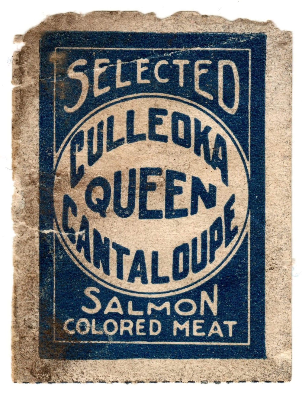 474597DE-C881-406D-9AB7-8E9A8D843A8D